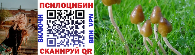 Псилоцибиновые грибы GOLDEN TEACHER  купить  сайты  Никольское 